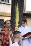 Palme2018 (1).jpg