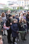 Palme2018 (4).jpg