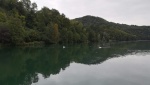 Pellegrinaggio (13).jpg