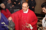 Palme (13).JPG