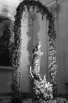 Paderno2019 (27).JPG