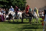 08 PalioAsini2019 (71).jpg