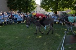 08 PalioAsini2019 (79).jpg