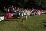 08 PalioAsini2019 (85).jpg