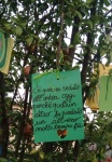 FestePatronali2021 (18).jpg