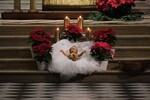 natale 2024 (20).jpg