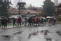 Domenica delle Palme (5).JPG