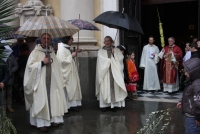 Domenica delle Palme (11).JPG