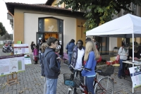 ConcorsoMissionario2013 (33).jpg