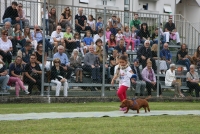 2013_09_12 FestePatronali16.jpg