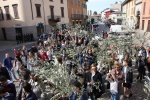 Palme2015 (21).JPG