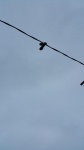 20150814_102832.jpg