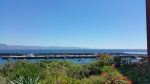 20150820_144206.jpg