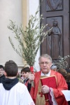 2015_03_29Palme (3) (Copia).JPG